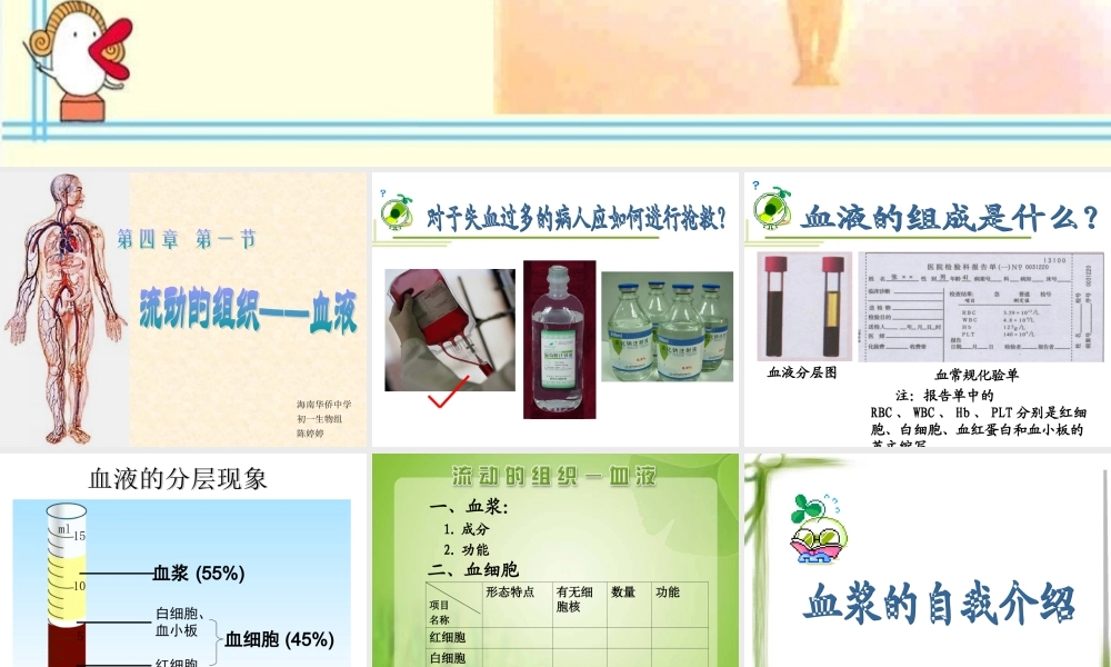 流动的组织——血液