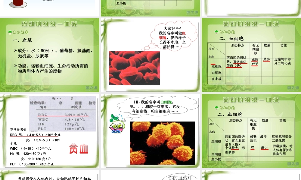 流动的组织——血液