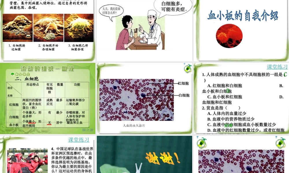 流动的组织——血液