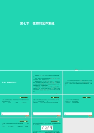 八年级生物上册 第四单元 第一章 第七节 植物的营养繁殖(第1课时 营养繁殖常用的方法)课件 (新版)济南版 课件
