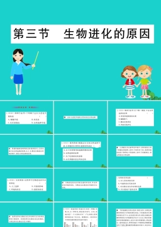 八年级生物下册 7.3.3 生物进化的原因习题课件(新版)新人教版 课件