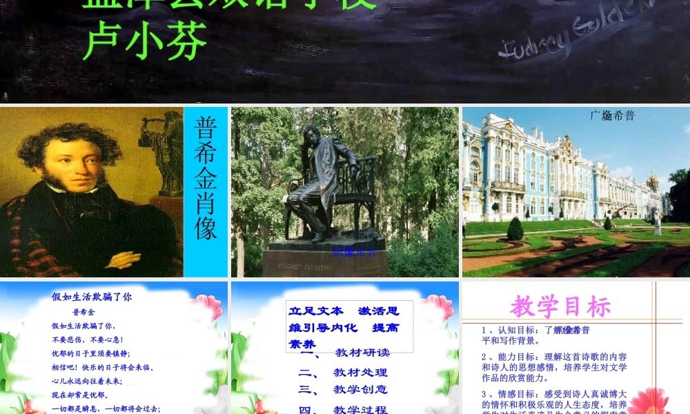 《假如生活欺骗了你》说课课件