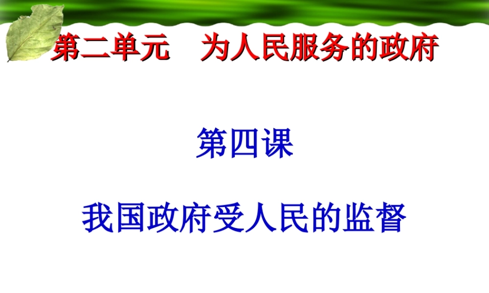 政府的权力：依法行使 (2)