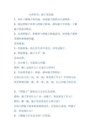 小班科学《镜子里的我》