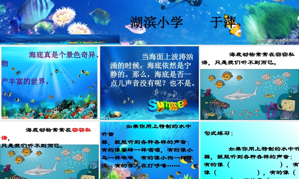《海底世界》课件 (2)