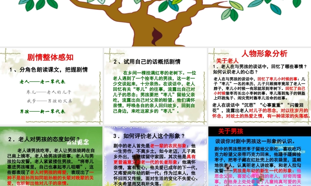 九年级语文上册 (枣儿)教学课件 人教新课标版 课件