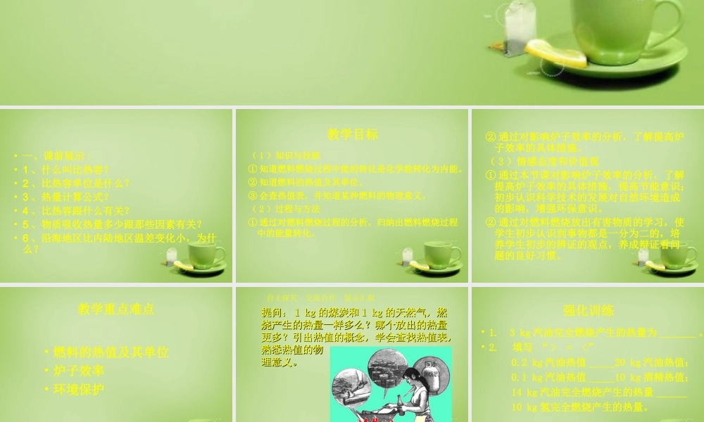 九年级物理全册 第十章 第六节 燃料的利用和环境保护课件 (新版)北师大版 课件