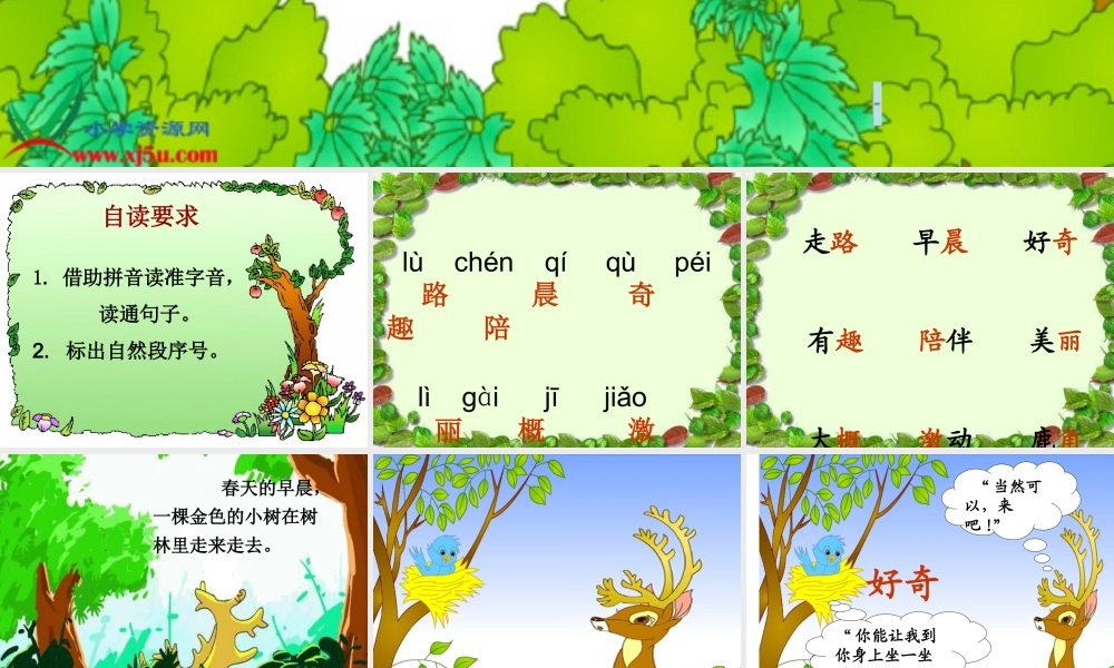 会走路的树定稿