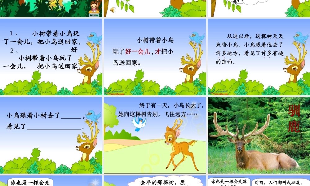 会走路的树定稿