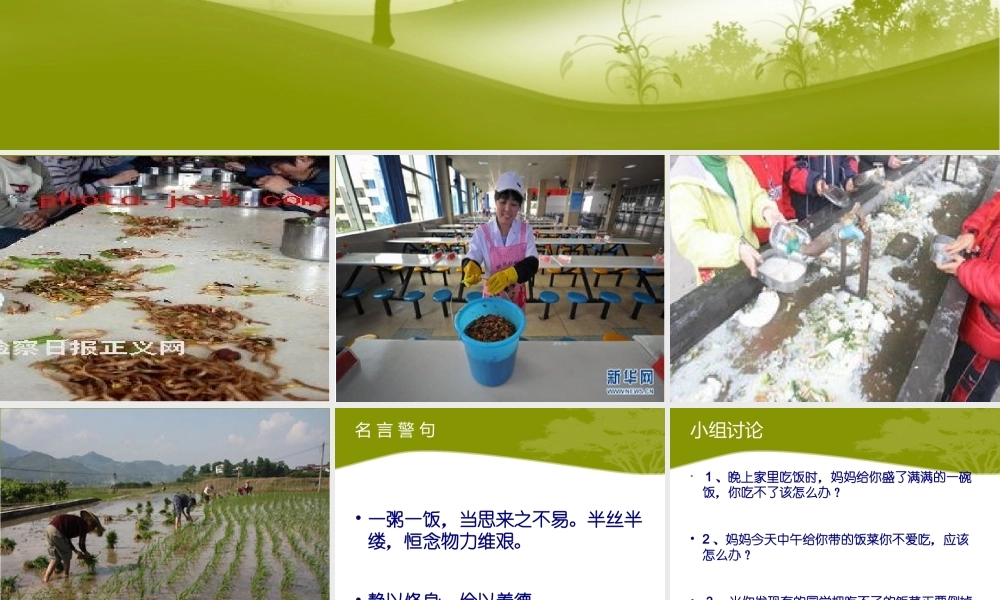 爱惜粮食从我做起