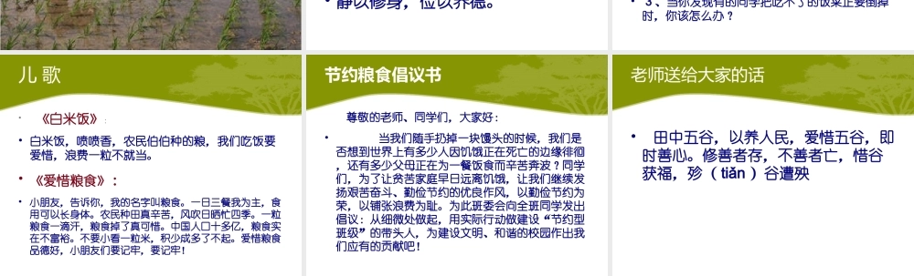 爱惜粮食从我做起