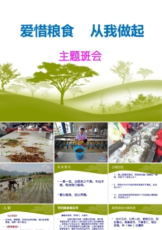 爱惜粮食从我做起
