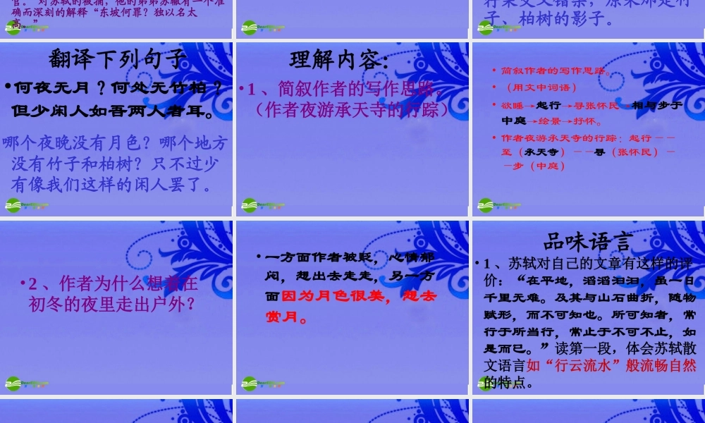 九年级语文上册 第19课(短文两篇)之记承天寺夜游复习课件 河大版 课件