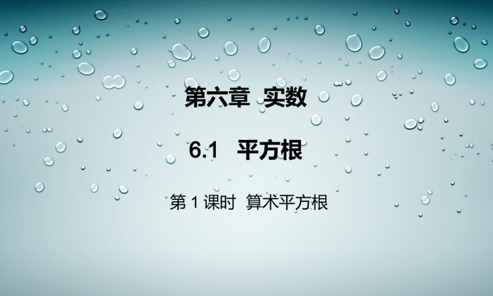 第1课时算术平方根