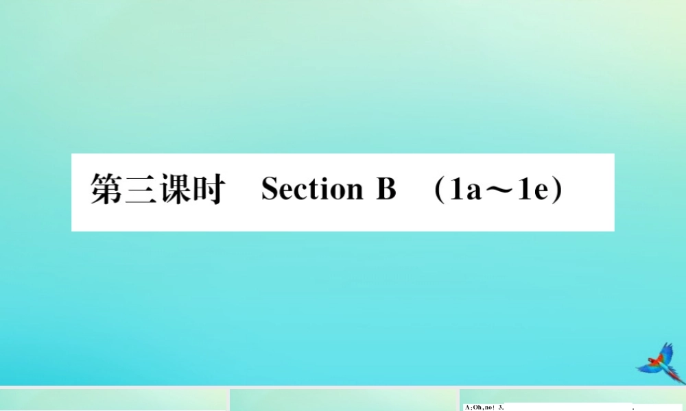九年级英语全册 Unit 13 We re trying to save the earth(第3课时)习题课件 (新版)人教新目标版 课件