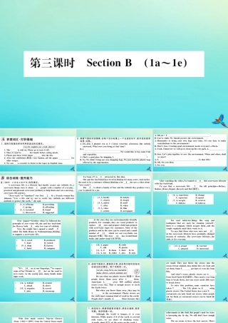 九年级英语全册 Unit 13 We re trying to save the earth(第3课时)习题课件 (新版)人教新目标版 课件
