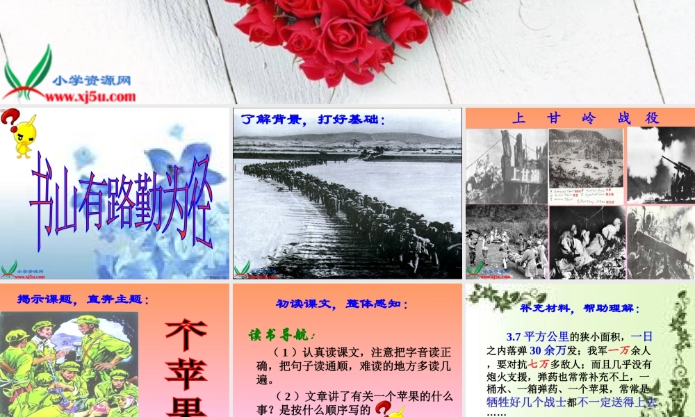 西师大版五年级语文上册《一个苹果》PPT演示课件