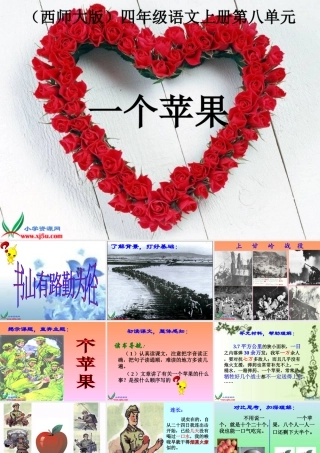 西师大版五年级语文上册《一个苹果》PPT演示课件