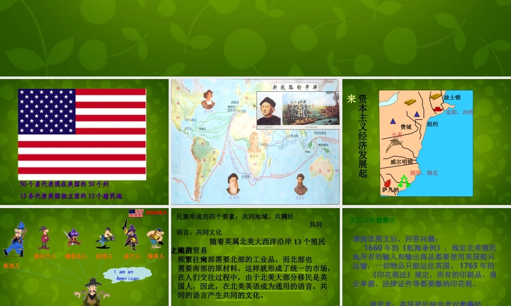 中学九年级历史上册 第12课(美国的诞生)课件 新人教版 课件