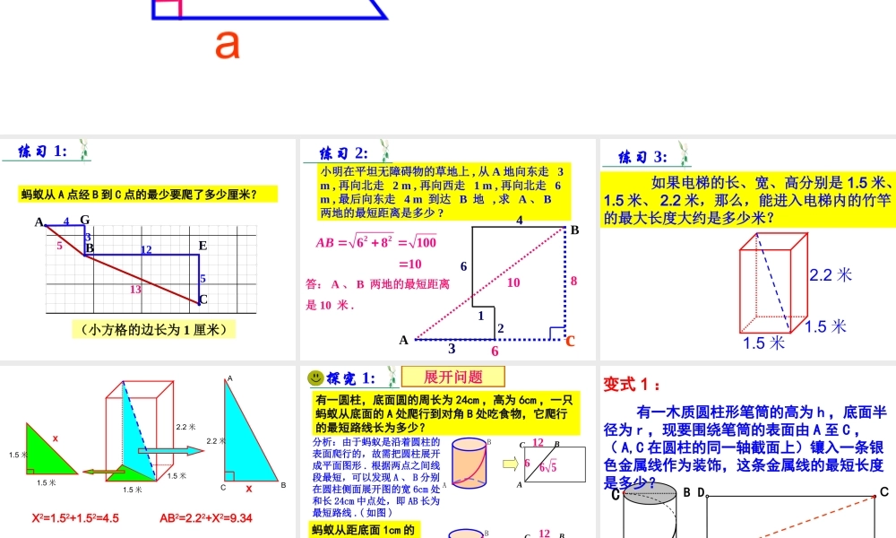 勾股定理的应用 (3)