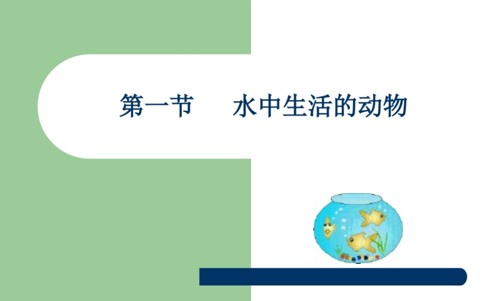 水中生活的动物