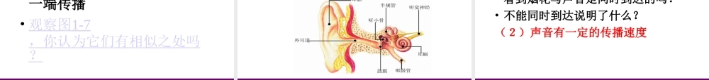 八年级物理上册 第一章第一节(声音是什么)课件 苏科版 课件