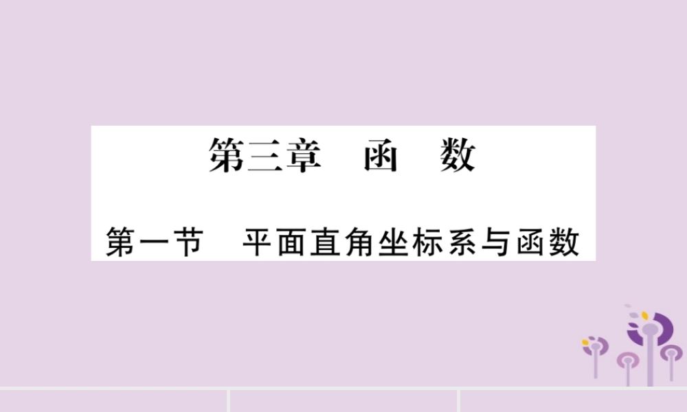 中考数学复习 第一轮 考点系统复习 第3章 函数 第1节 平面直角坐标系与函数导学课件