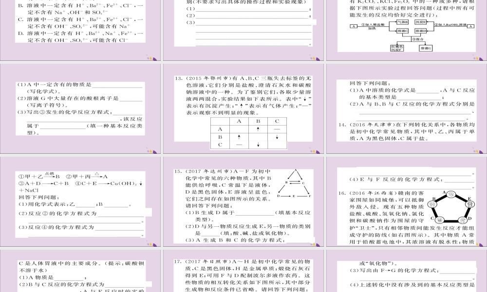 中考化学总复习 第二轮 专题训练 提升能力 专题三 物质的鉴别与推断练习课件