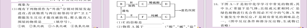 中考化学总复习 第二轮 专题训练 提升能力 专题三 物质的鉴别与推断练习课件