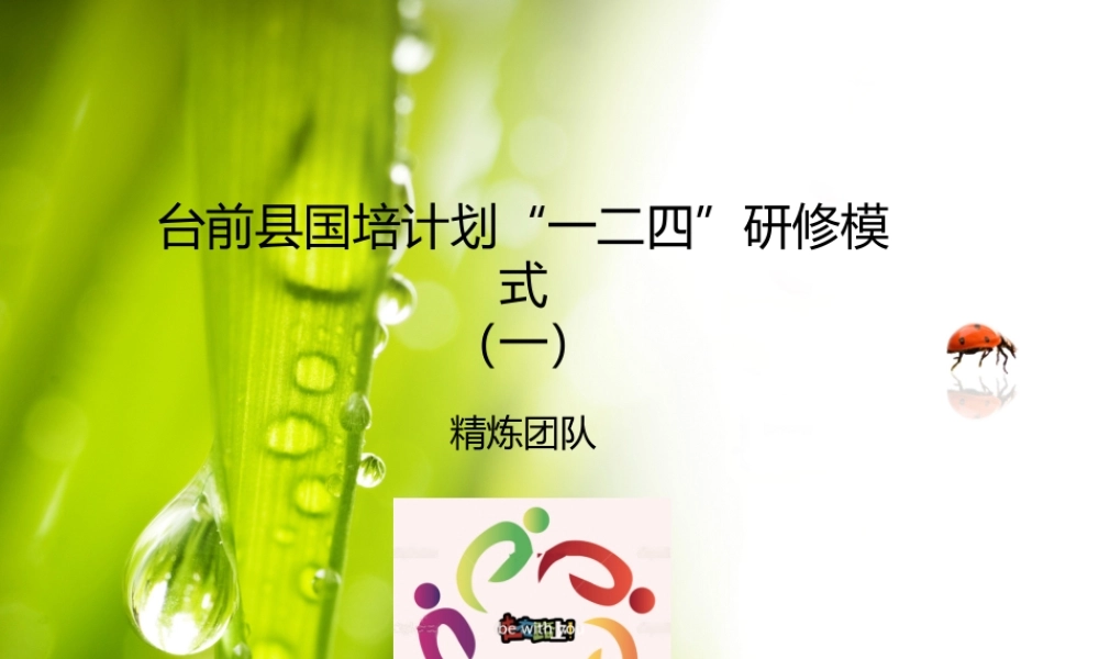 台前县国培计划精炼团队日志20150319