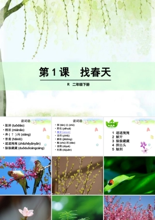 找春天 课件