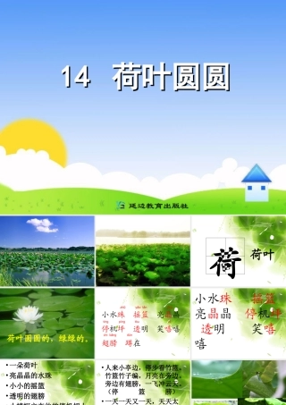 14-荷叶圆圆