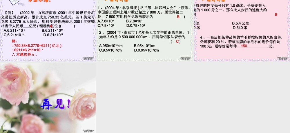 中考数学实数的运算及科学记数法复习课件二 课件