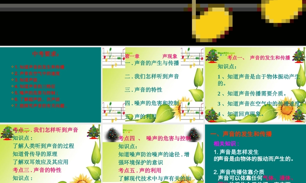 九年级物理声现象复习课件人教版 课件