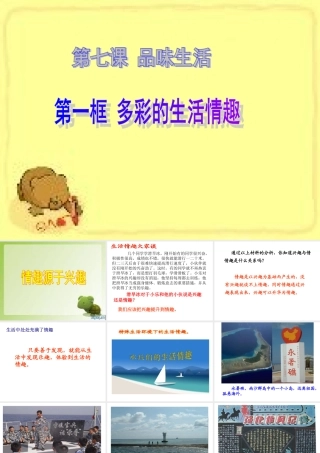 多彩的生活情趣课件