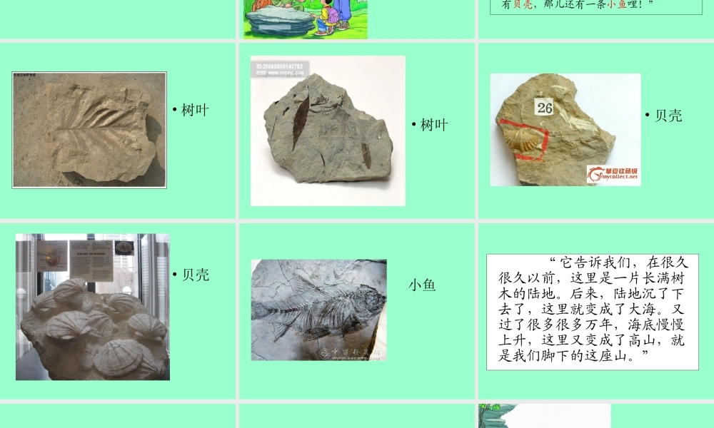 《最大的书》课件 (2)