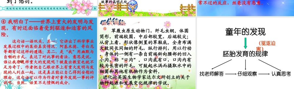 《童年的发现》课件