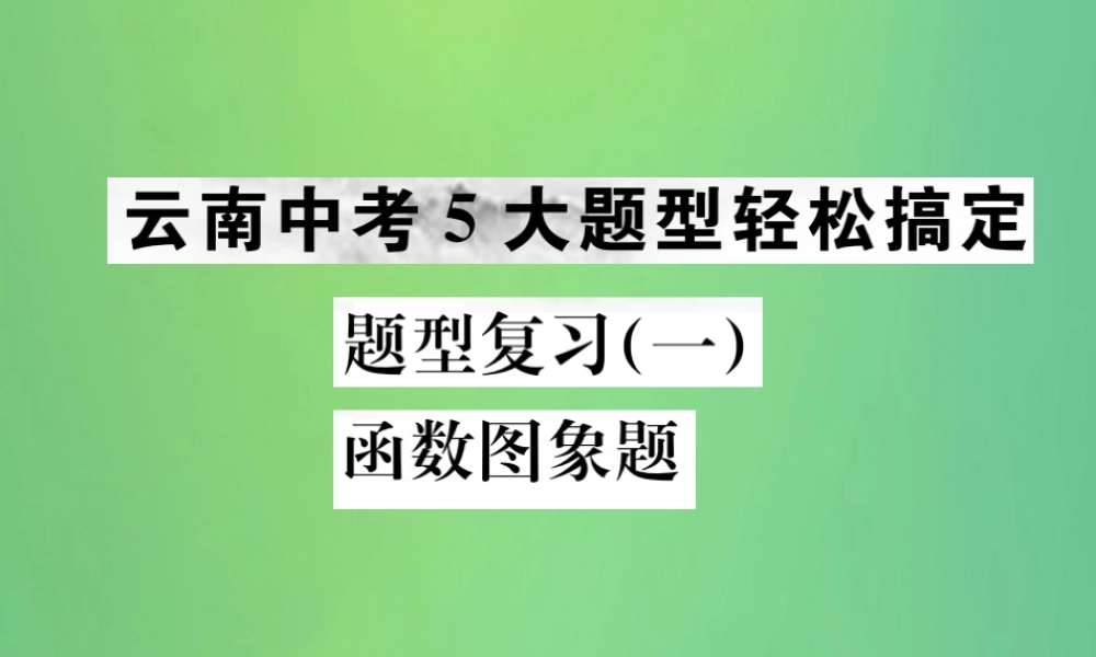 中考化学总复习 题型复习(一)函数图像题课件