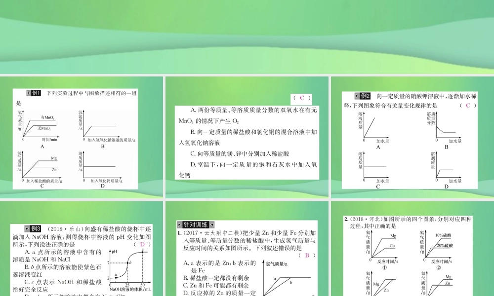 中考化学总复习 题型复习(一)函数图像题课件