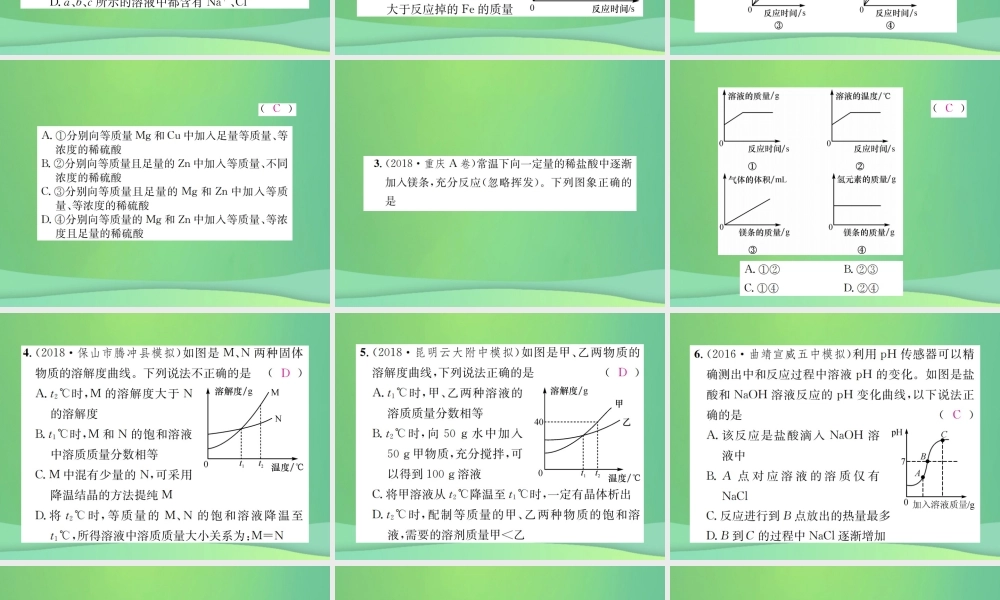 中考化学总复习 题型复习(一)函数图像题课件