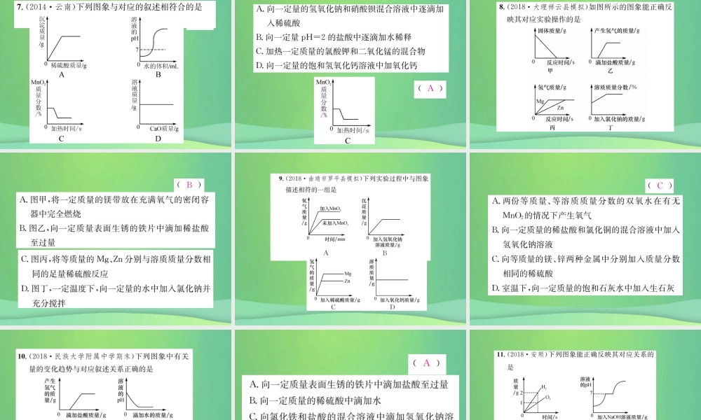 中考化学总复习 题型复习(一)函数图像题课件