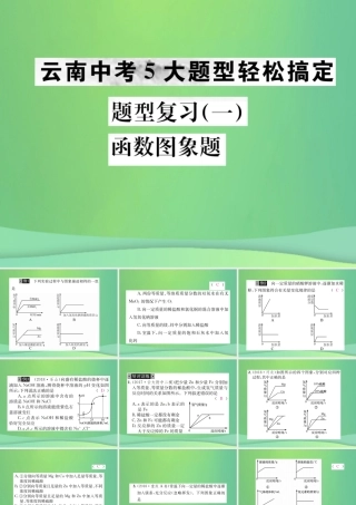 中考化学总复习 题型复习(一)函数图像题课件