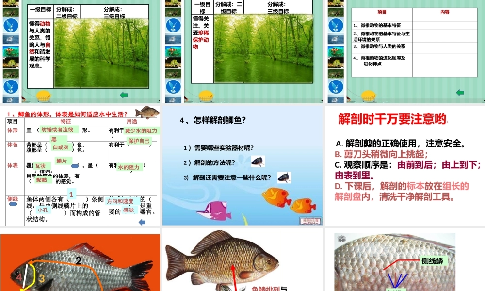 基于单元教学设计的目标分层设置（脊椎动物）