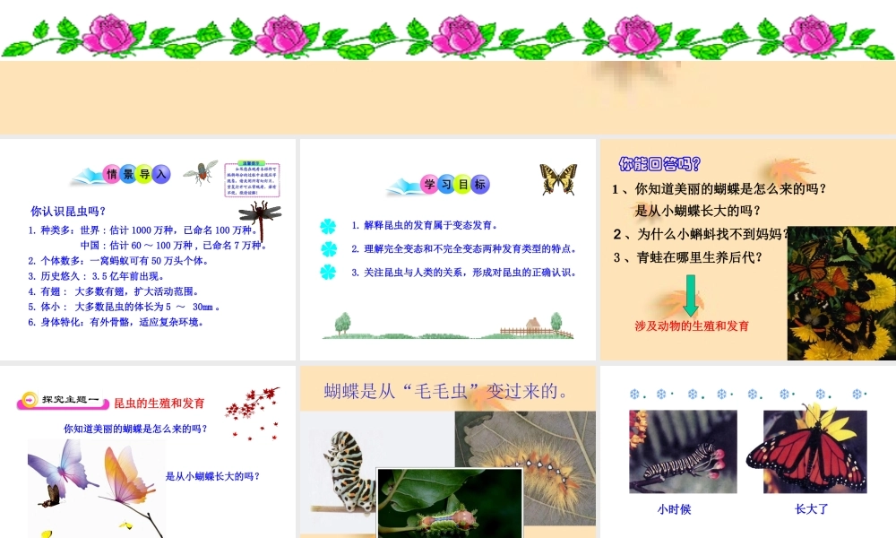 《昆虫的生殖和发育》参考课件2
