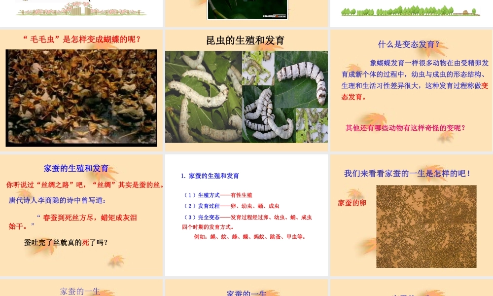 《昆虫的生殖和发育》参考课件2