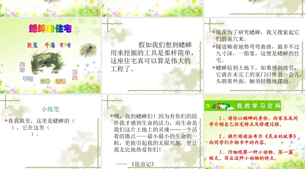 26蟋蟀的住宅