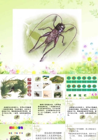 26蟋蟀的住宅