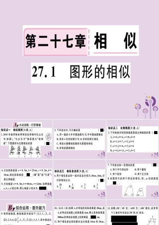 九年级数学下册 第二十七章 相似 271 图形的相似习题讲评课件 (新版)新人教版 课件