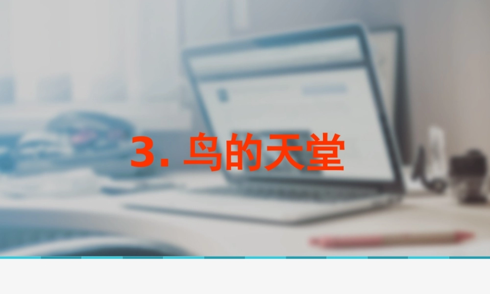 鸟的天堂阮文艳