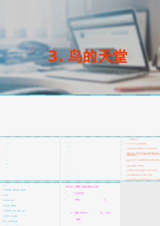 鸟的天堂阮文艳